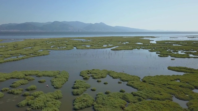 伊兹米尔湾佛朗明哥无人机，海视频素材