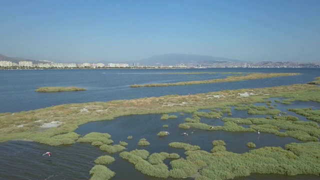 伊兹米尔湾佛朗明哥无人机，海视频素材