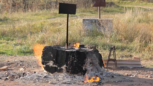 森林里气田着火了视频素材