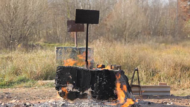 森林里气田着火了视频素材