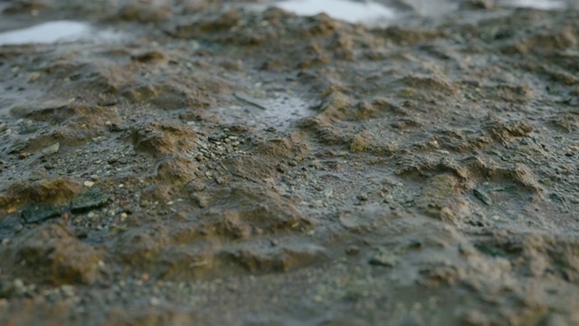 在超高清4k的雨后破碎的道路循环动画。视频素材