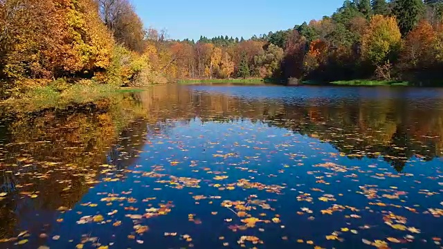 五彩缤纷的秋日森林在湖面上视频素材