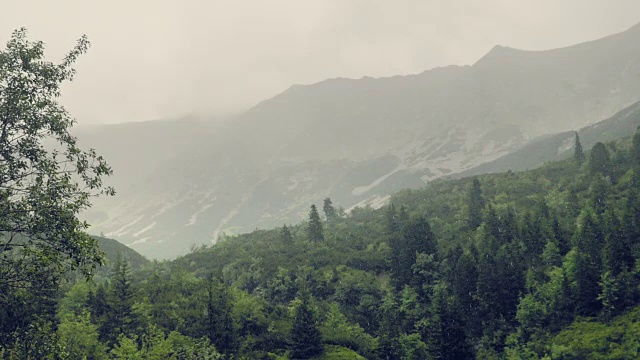 山在雨和雾。雨滴滴落，山气湿冷。雾中的树木丛生的小山视频素材