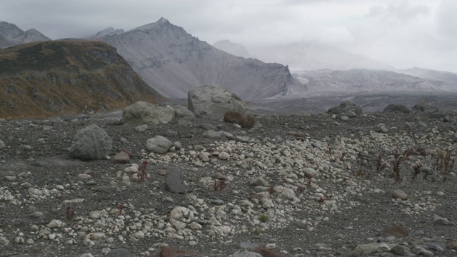 火山景观地面上的岩石，堪察加半岛，2009年视频素材