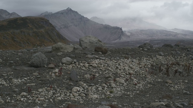 火山景观地面上的岩石，堪察加半岛，2009年视频素材