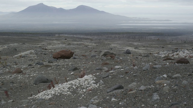 火山景观地面上的岩石，堪察加半岛，2009年视频素材