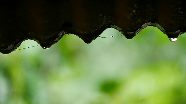 屋顶上的一滴水视频素材