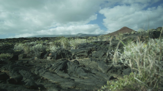 火山景观中的草在风中飘动，埃尔赫里奥，金丝雀，2011年视频素材