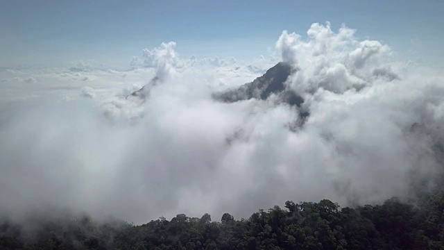 4k分辨率鸟瞰图的飞行通过雾在美丽的山区景观在泰国北部视频素材