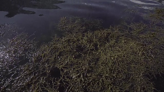 挪威的风景和景观:索格尼峡湾地区视频素材