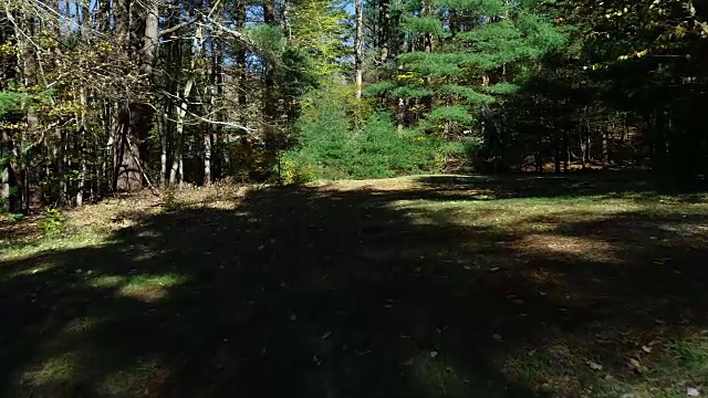 空中卡茨基尔山森林阳光秋天秋天低角度的观点视频素材