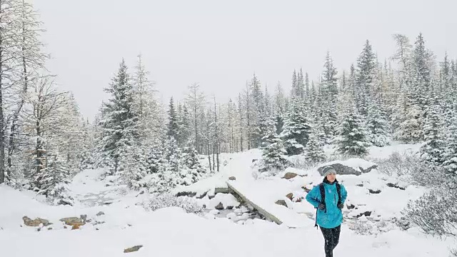 在松林里的新鲜冬雪上徒步旅行的妇女视频素材