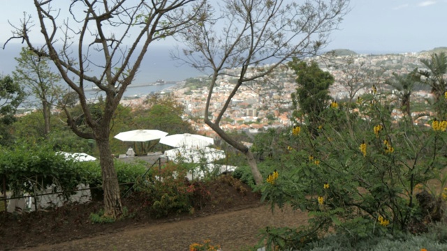 植物园咖啡馆与老城可见的背景，Funchal，马德拉，葡萄牙，大西洋，欧洲视频素材