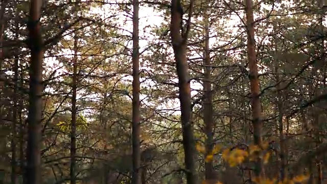 男人旅行家与大背包登山旅行生活概念视频素材