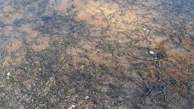 流水和波浪视频素材