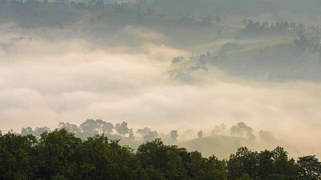 雨后有雾的山区风景，泰国北部视频素材