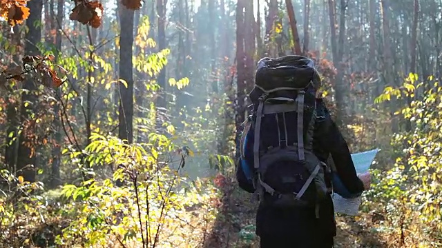 一个旅行者手里拿着一张地图走在一个陌生的森林里。视频素材