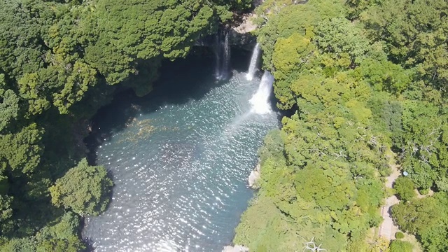 济州岛西浦的天池渊瀑布(韩国自然纪念碑)视频素材