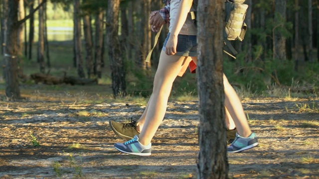 在阳光明媚的夏日里，年轻的男女徒步旅行者在森林里露营视频素材