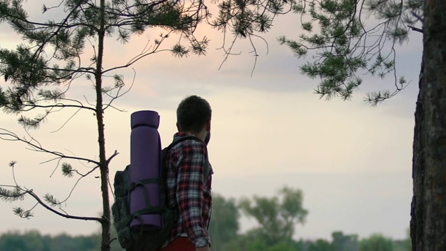 鼓舞男性背包客享受惊人的日落从林地山，自由视频素材