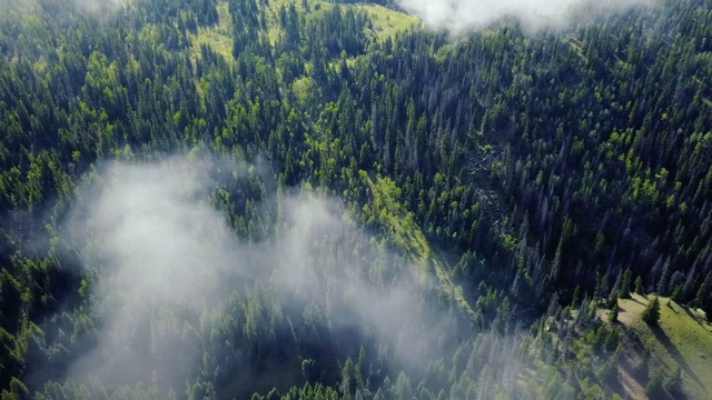 无人机在以山脉为背景的森林上空穿越云层视频素材