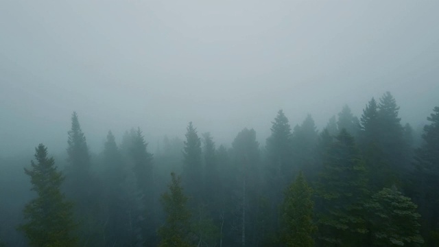 在一个阴郁的日子里，一架无人机在科罗拉多州的山林中飞行视频素材