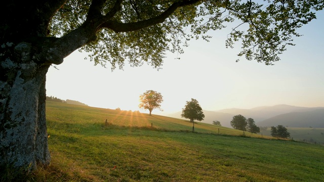 风景日出，Schauinsland山，弗莱堡im Breisgau，黑森林，Baden-Württemberg，德国视频素材