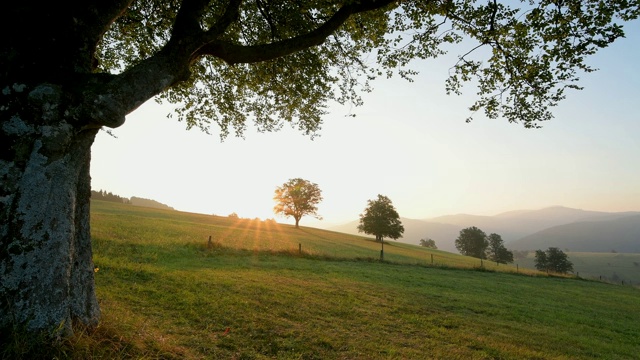 风景日出，Schauinsland山，弗莱堡im Breisgau，黑森林，Baden-Württemberg，德国视频素材