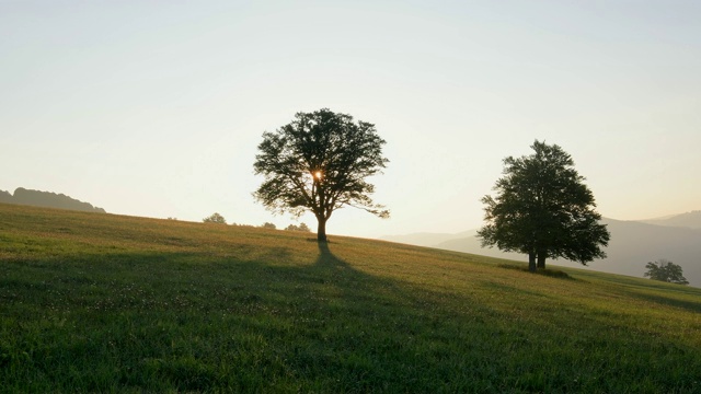 风景日出，Schauinsland山，弗莱堡im Breisgau，黑森林，Baden-Württemberg，德国视频素材