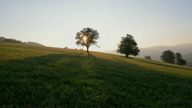 风景日出，Schauinsland山，弗莱堡im Breisgau，黑森林，Baden-Württemberg，德国视频素材