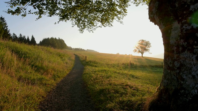 阳光明媚的清晨徒步旅行，Schauinsland山，Freiburg im Breisgau，黑森林，Baden-Württemberg，德国视频素材