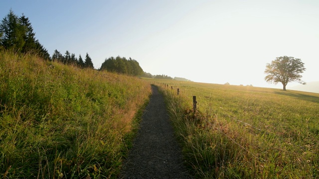 阳光明媚的清晨徒步旅行，Schauinsland山，Freiburg im Breisgau，黑森林，Baden-Württemberg，德国视频素材