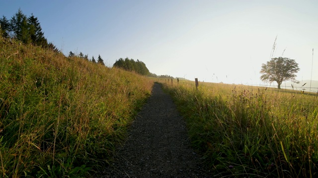 阳光明媚的清晨徒步旅行，Schauinsland山，Freiburg im Breisgau，黑森林，Baden-Württemberg，德国视频素材