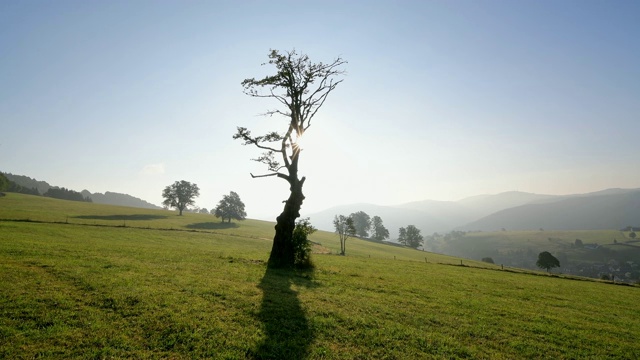 早晨的太阳在风景，Schauinsland山，弗莱堡im Breisgau，黑森林，Baden-Württemberg，德国视频素材