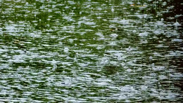 暴雨和大雨落在江池上视频素材