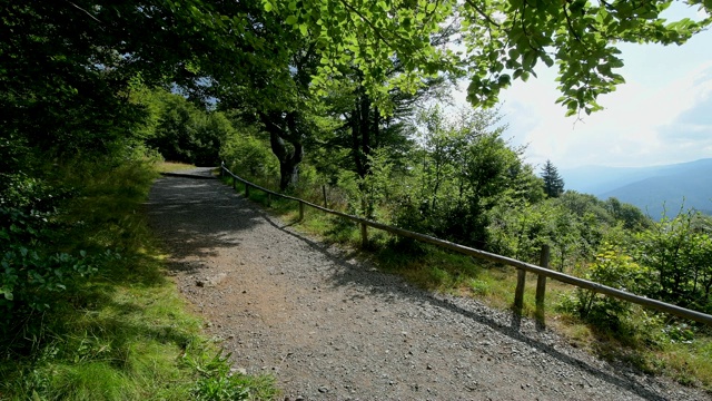 早上徒步旅行，Schauinsland山，弗莱堡im Breisgau，黑森林，Baden-Württemberg，德国视频素材