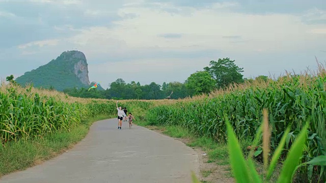 母亲和女儿在大自然中玩风筝视频素材