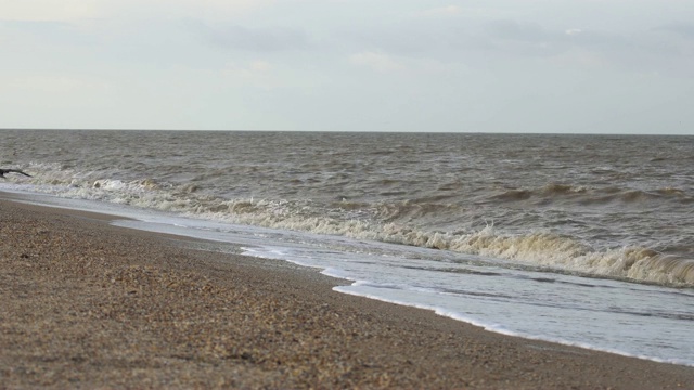 沙滩上的海浪视频素材