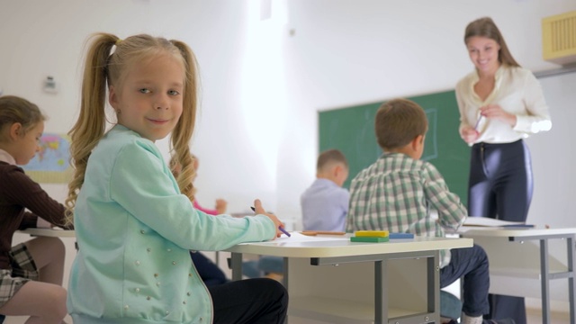 在小学课堂上上课的学生的肖像视频素材