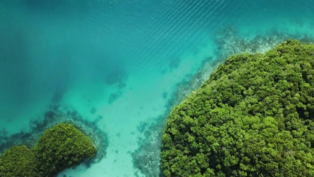 一艘船在清澈蔚蓝的热带水域行驶/帕劳的科罗尔视频素材