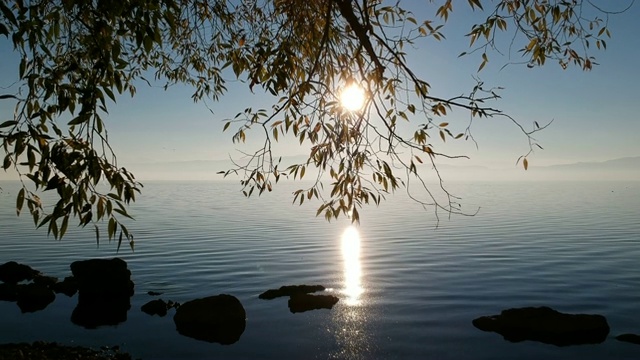 空中的树木和悬崖岩石的水晶水在湖视频素材