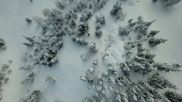 鸟瞰图无人机自由滑雪者骑在粉末雪视频素材