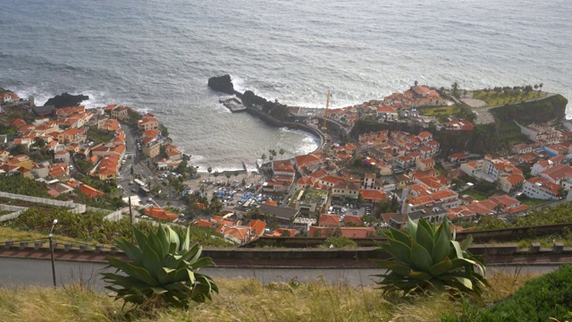 Miradouro da Torre的观点与仙人掌在Câmara de Lobos，马德拉大西洋海岸线视频素材