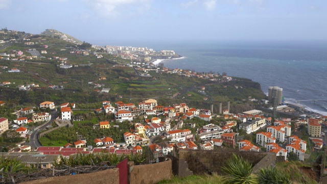 Miradouro da Torre的观点与仙人掌在Câmara de Lobos，马德拉大西洋海岸线视频素材