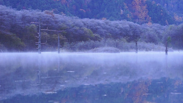 秋天森林里美丽池塘的移动雾视频素材