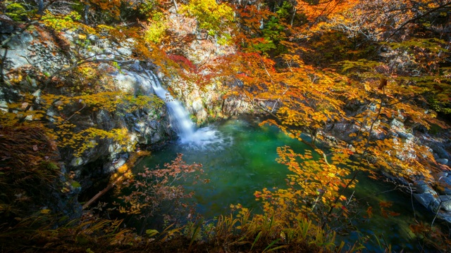 在庆尚南道的Hapcheongun，红雨洞山谷被枫树包围的秋景视频素材