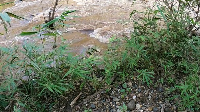 SLO MO泥泞的河在雨季。视频素材