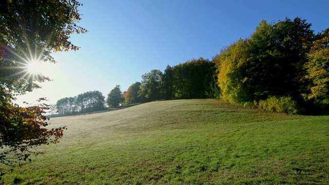 秋天的草地，秋天的草地，Rothenbuch, Spessart, Bavaria，德国视频素材