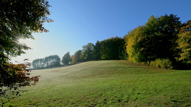 秋天的草地，秋天的草地，Rothenbuch, Spessart, Bavaria，德国视频素材