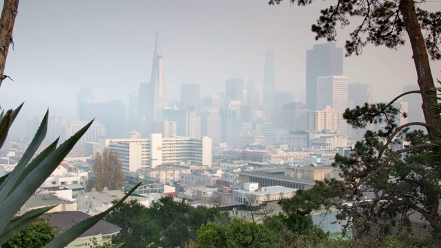 旧金山市中心在加利福尼亚野火季节的朦胧景色视频素材